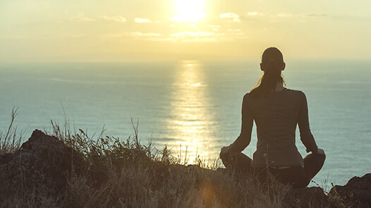 Bringing Success in Your Life with Himalayan Siddha Meditation